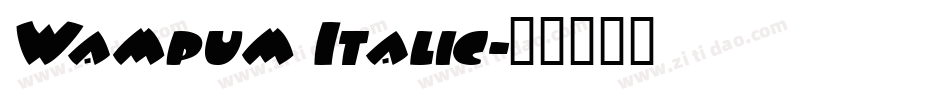 Wampum Italic字体转换